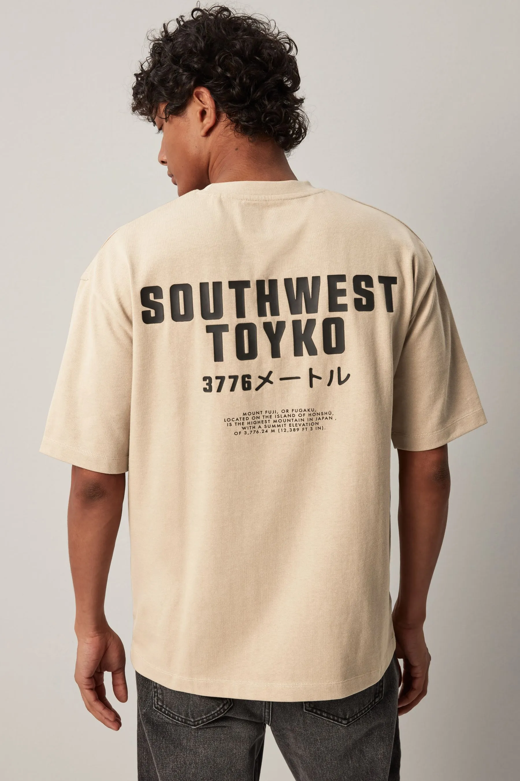 T-shirt pesante comoda con stampa grafica